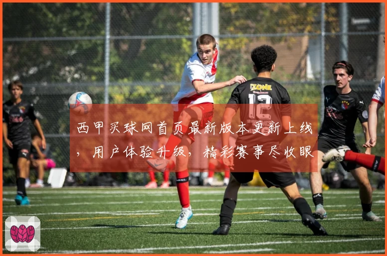 西甲买球网首页最新版本更新上线，用户体验升级，精彩赛事尽收眼底