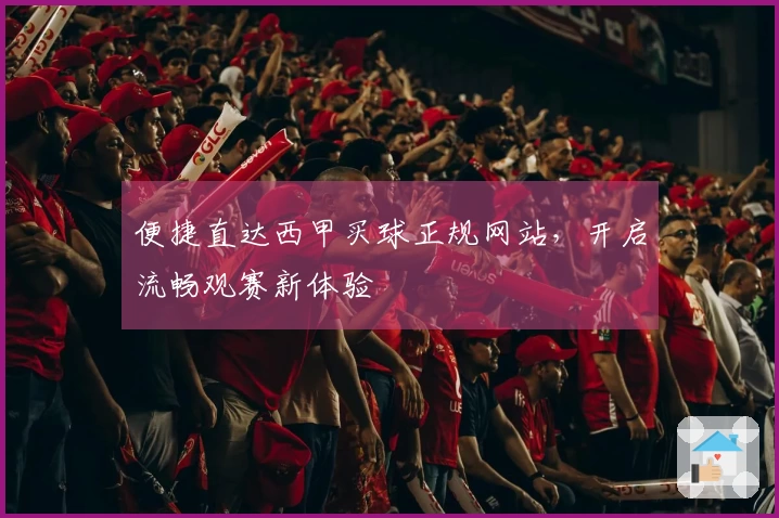 便捷直达西甲买球正规网站，开启流畅观赛新体验